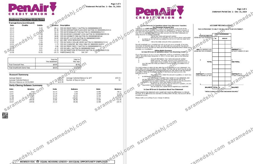 USA Florida PenAir Credit Union bank statement, 3 pages 2